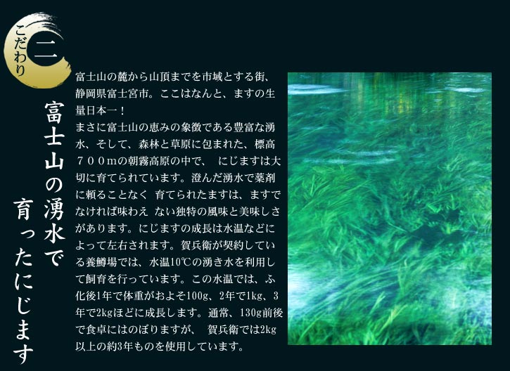 ますの寿しこだわり2